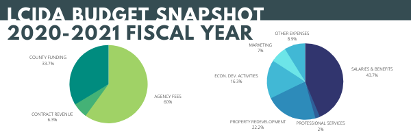 LCIDA2021BudgetSnapshot